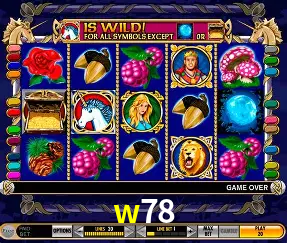VIP Casino w78